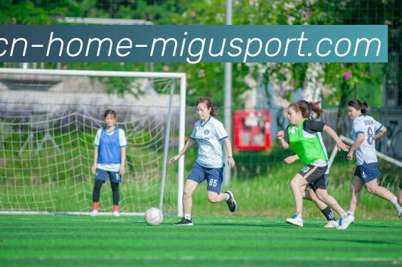 数据防护可视化